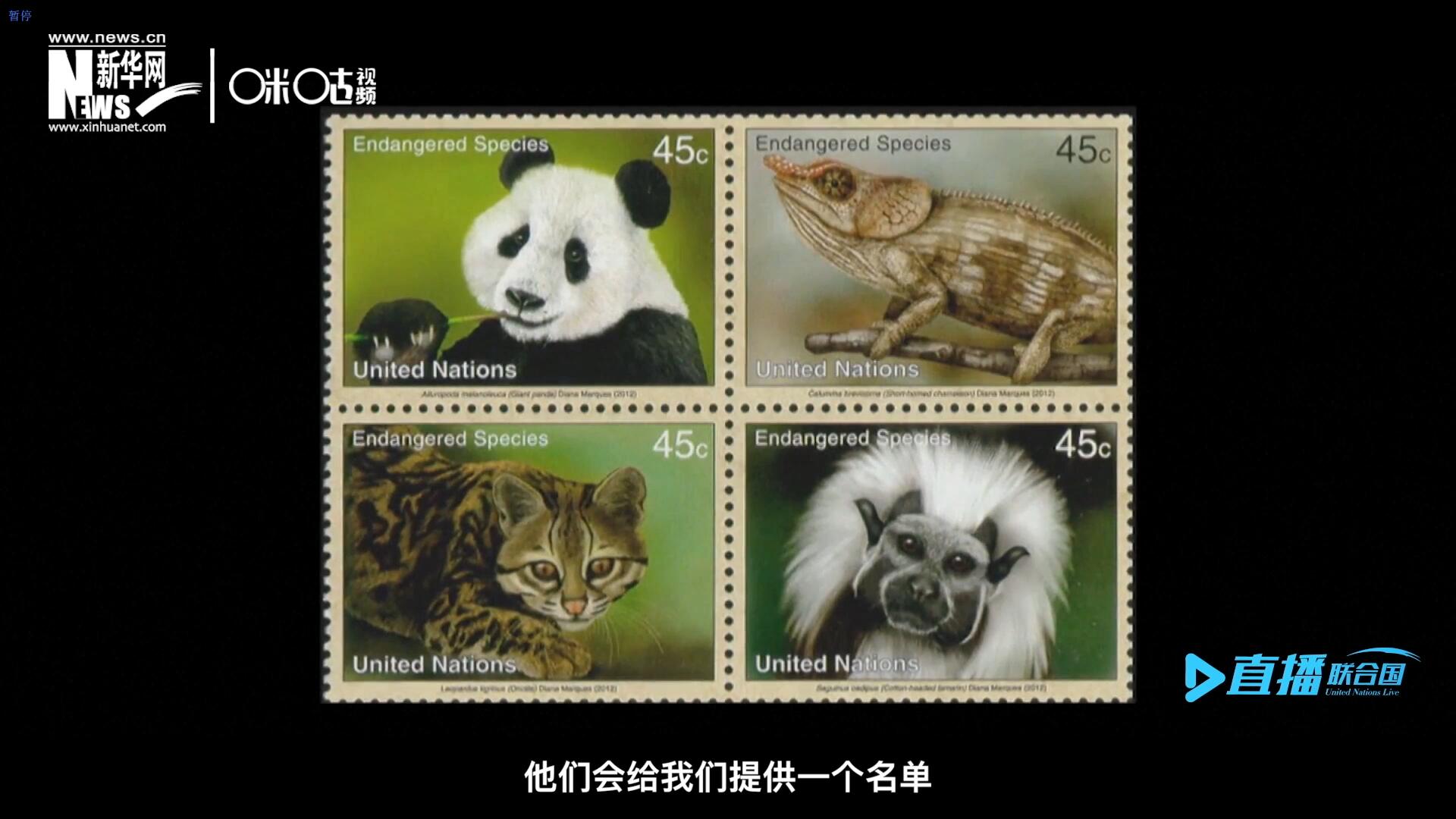 CITES（瀕危野生動(dòng)植物種國際貿(mào)易公約）會(huì)給聯(lián)合國郵政設(shè)計(jì)師提供一個(gè)名單，雙方共同合作在附錄中找到名單中應(yīng)該受到關(guān)注的動(dòng)物。