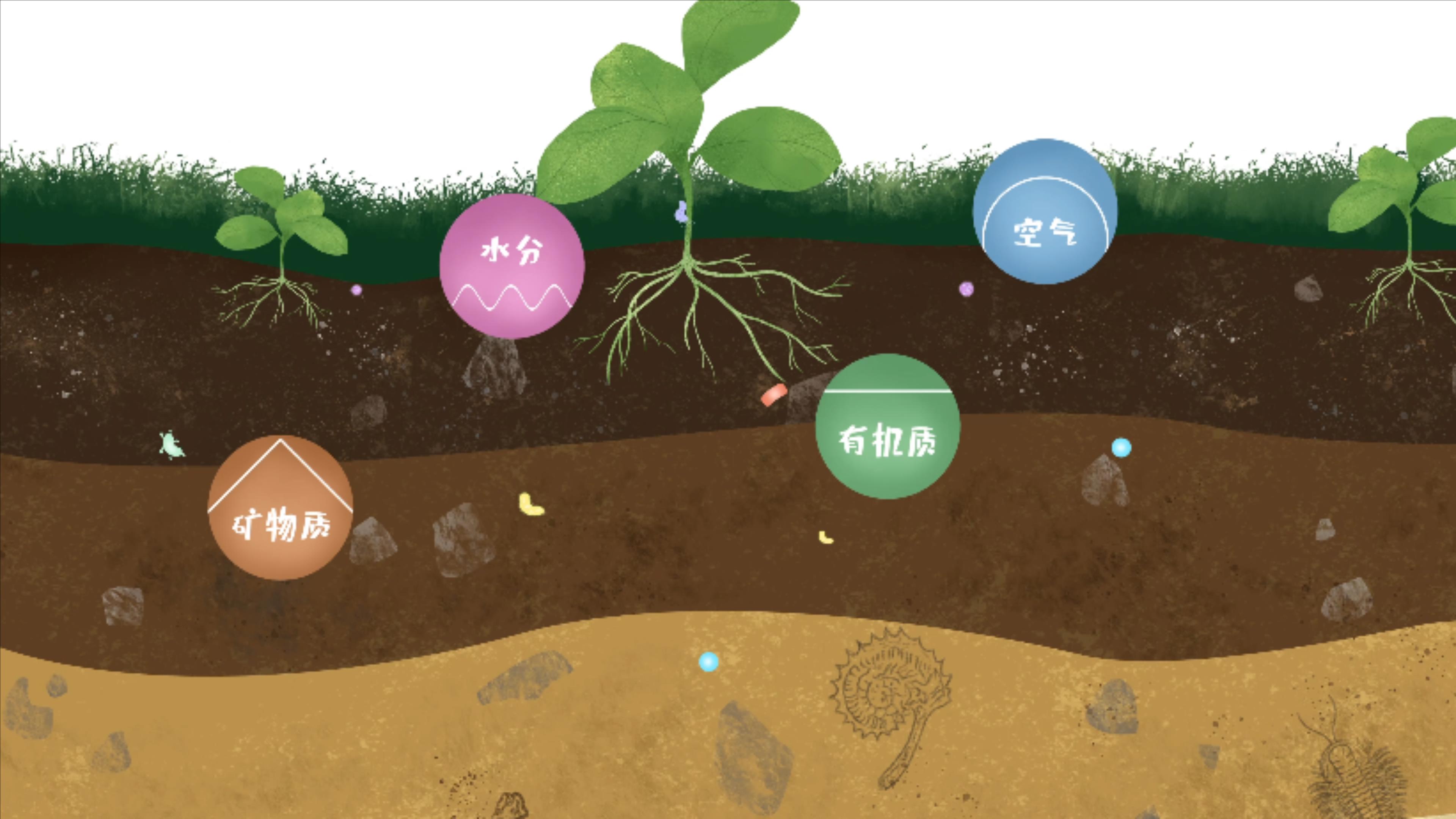 土壤由礦物質(zhì)、有機(jī)質(zhì)、水分、空氣及包括微生物在內(nèi)的生物體等組成