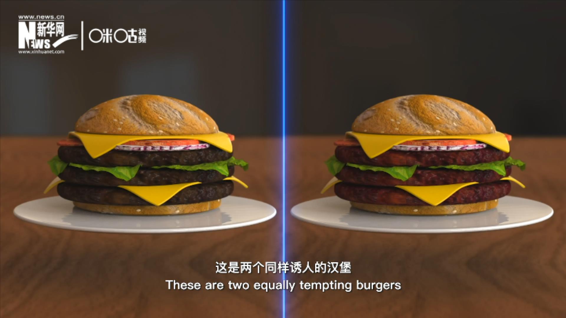人造肉漢堡能在生產(chǎn)過程中節(jié)約水、土地、排放以及能量