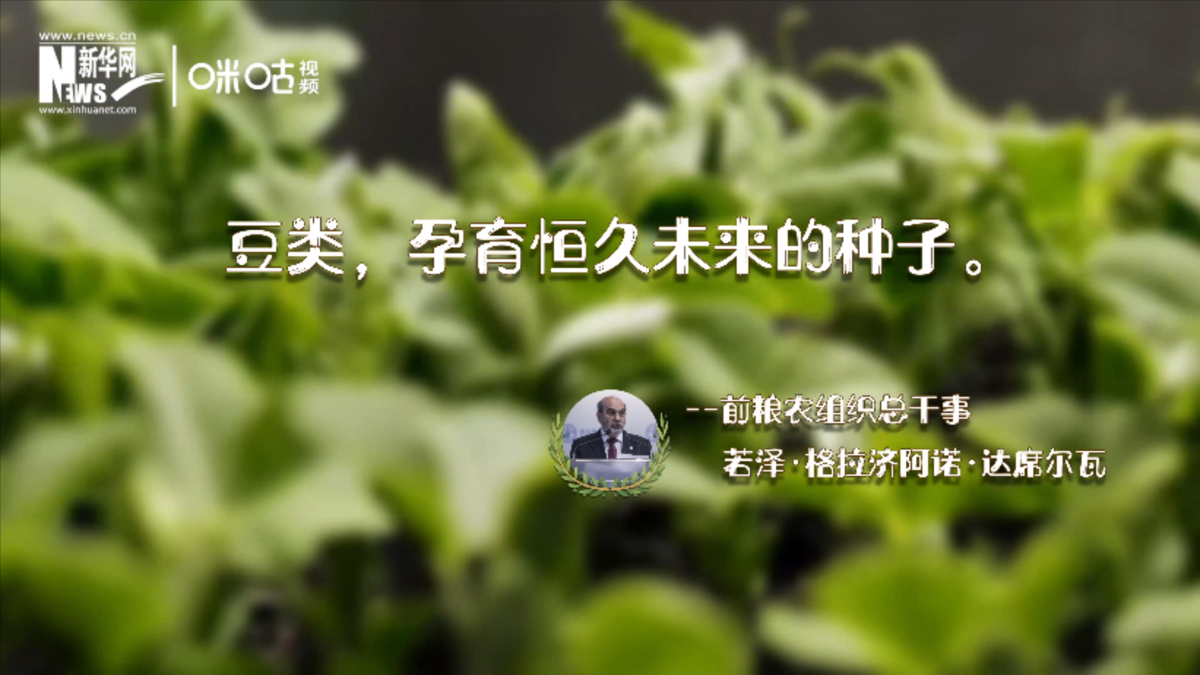 豆類，孕育恒久未來(lái)的種子