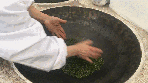 申遺，把雨花茶手藝傳承下去