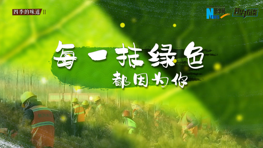 千年秀林，每一抹綠色都因?yàn)槟? /></p>
<p class=