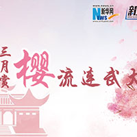 三月賞櫻，流連武大