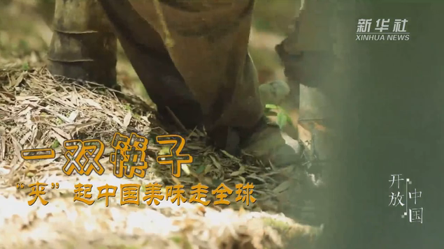 一雙筷子:“夾”起中國美味走全球