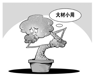 自認(rèn)“大材小用”，不如腳踏實(shí)地