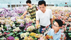 臺(tái)商眼中的改革開(kāi)放：風(fēng)景這邊獨(dú)好 要去，要去，要去！