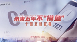 未來(lái)五年，不“摸魚”