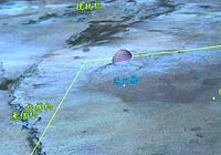 神十返回模擬圖