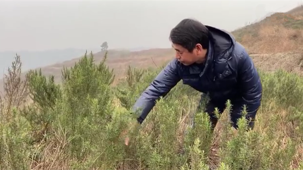新春走基層｜脫貧后，駐村扶貧隊長在干啥？