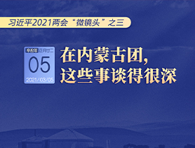 習(xí)近平2021兩會“微鏡頭”之三 3月5日 在內(nèi)蒙古團，這些事談得很深