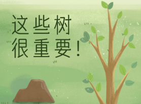 這些樹很重要！
