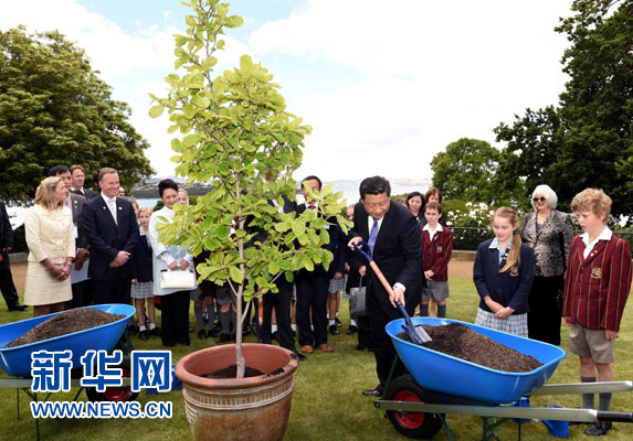 11月18日，國家主席習近平在澳大利亞塔斯馬尼亞州與朗塞斯頓市斯科奇－歐克伯恩小學(xué)的小學(xué)生共同植樹。新華社記者 饒愛民 攝