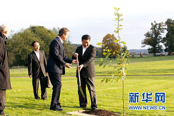 兩國領(lǐng)導(dǎo)人一同在別墅草坪，共同種下象征中英友誼的橡樹。新華社記者 鞠鵬 攝