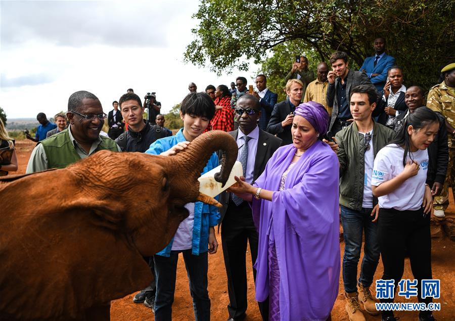 (國際·圖文互動)(1)專訪:環(huán)保要以身作則 從身邊小事做起——訪聯(lián)合國環(huán)境署親善大使王俊凱