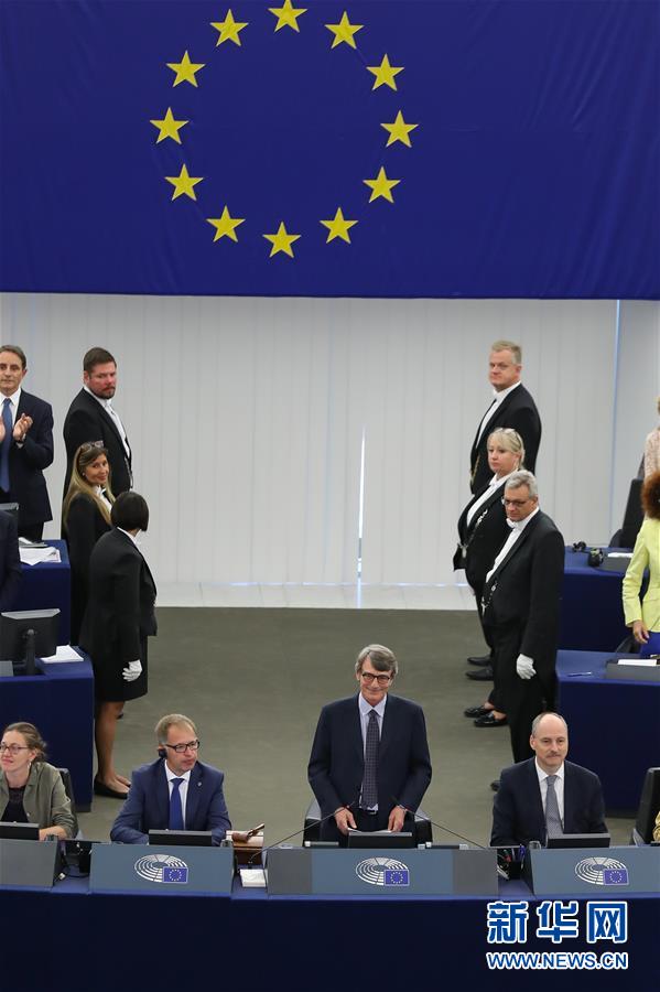 (國際)(3)意大利議員薩索利當(dāng)選歐洲議會(huì)新議長