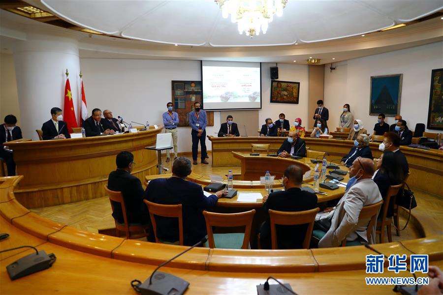 (國際·圖文互動)埃及文化部舉辦“中埃文化關(guān)系”專題研討會