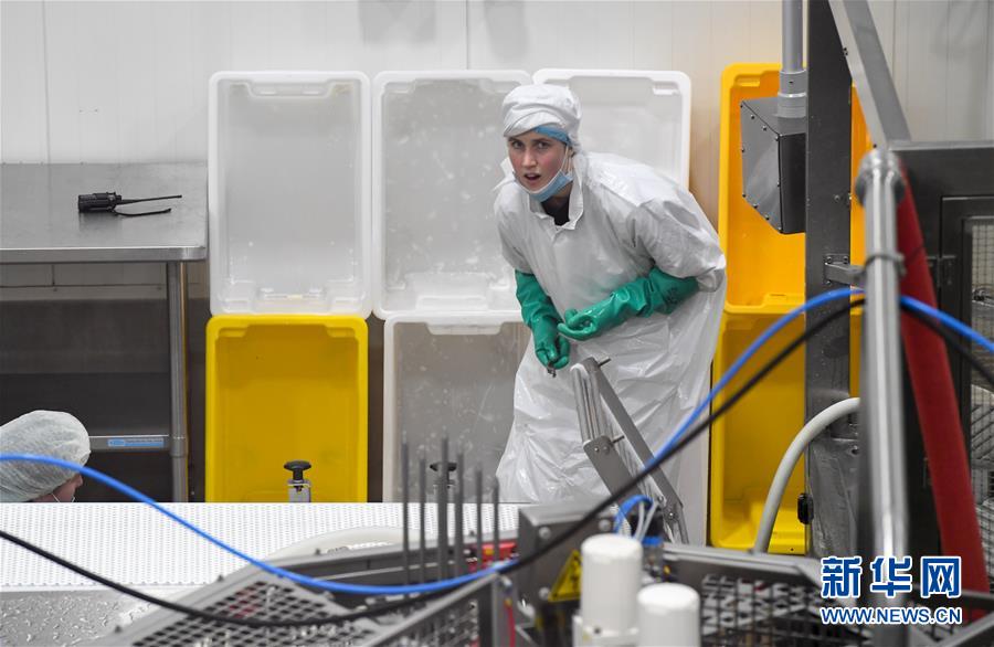 （第三屆進(jìn)博會(huì)·圖文互動(dòng)）（2）通訊：新西蘭的進(jìn)博會(huì)味道，甜