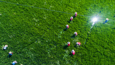 浙江湖州:龜鱉養(yǎng)殖棚變身生態(tài)水稻田