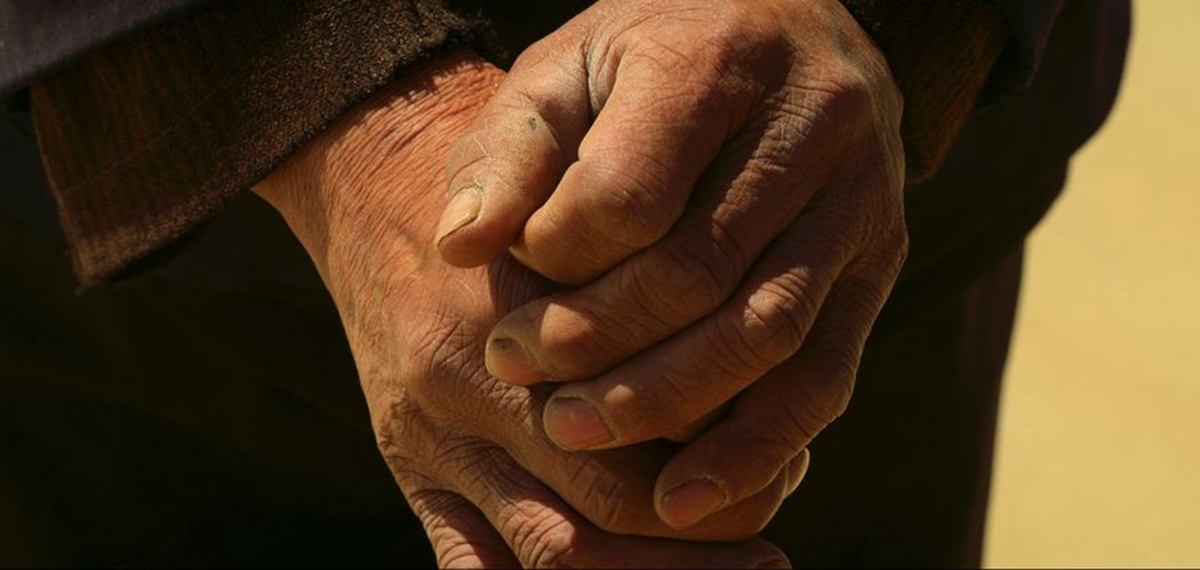 正式發(fā)布！《攜手，為人民》中國共產(chǎn)黨與世界政黨領(lǐng)導(dǎo)人峰會暖場片