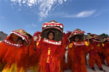 江西泰和:舞獅進校園